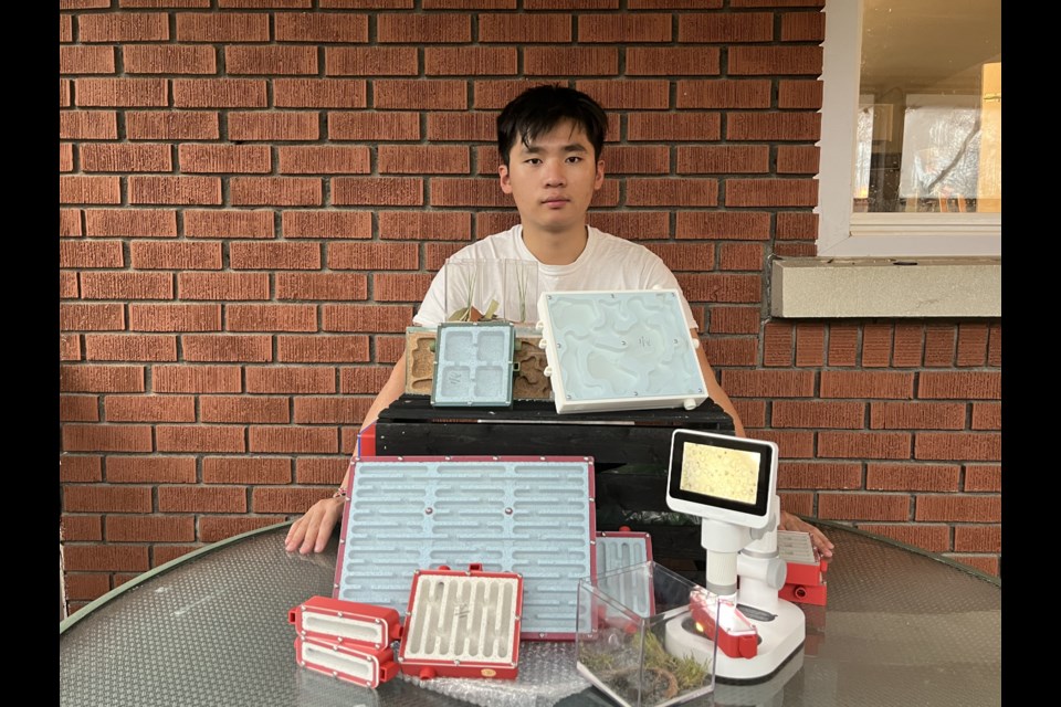 University student Zachary Liu has an ant farm business, Canada Ant Colony, offering colonies to museums, film production companies and the public.