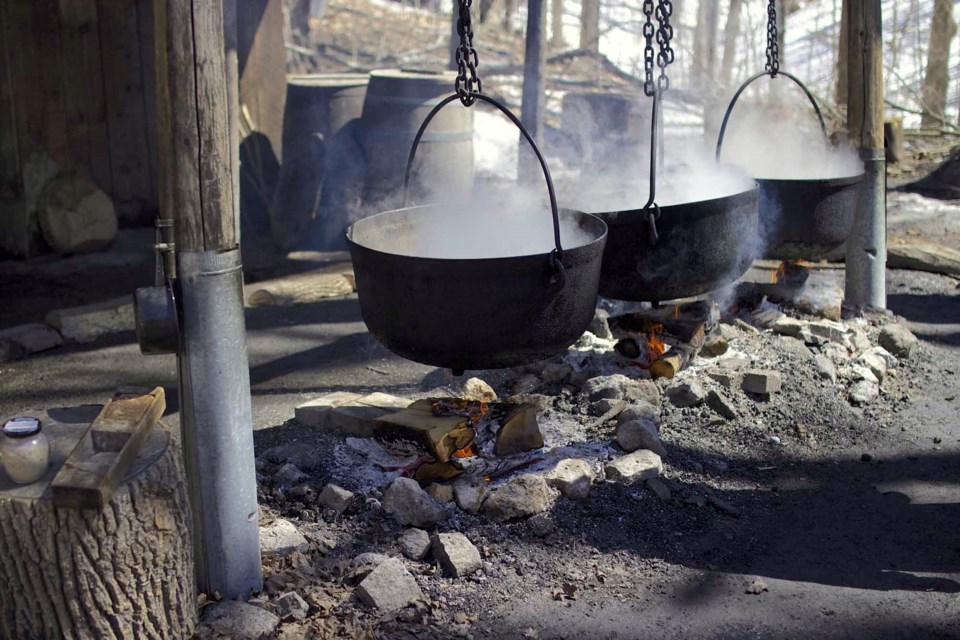 Large cast iron pot being used to reduce sugar maple sap to maple