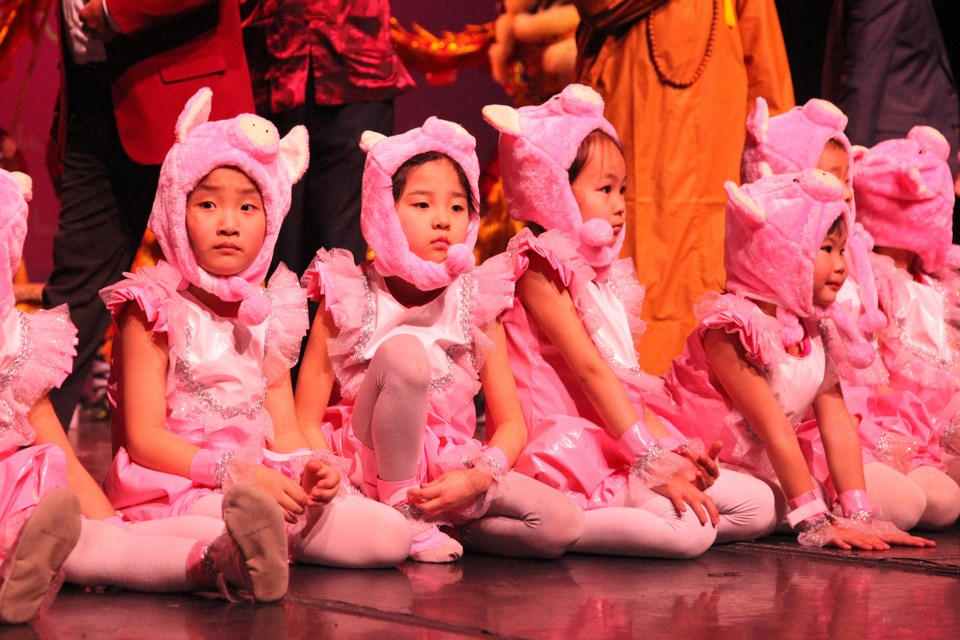 The Chinese community celebrates the Lunar New Year -- 2019 is the Year of the Pig -- at a gala stage event at Newmarket Theatre Feb. 2. Greg King for NewmarketToday 