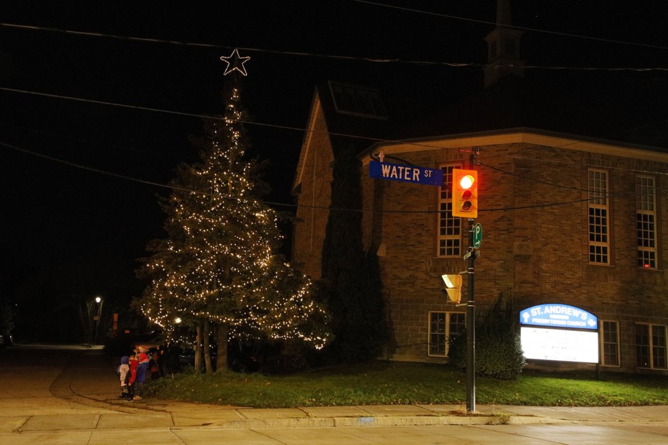 The Town Tree was lit up for another Christmas in a ceremony on Nov. 19.  Greg King for NewmarketToday