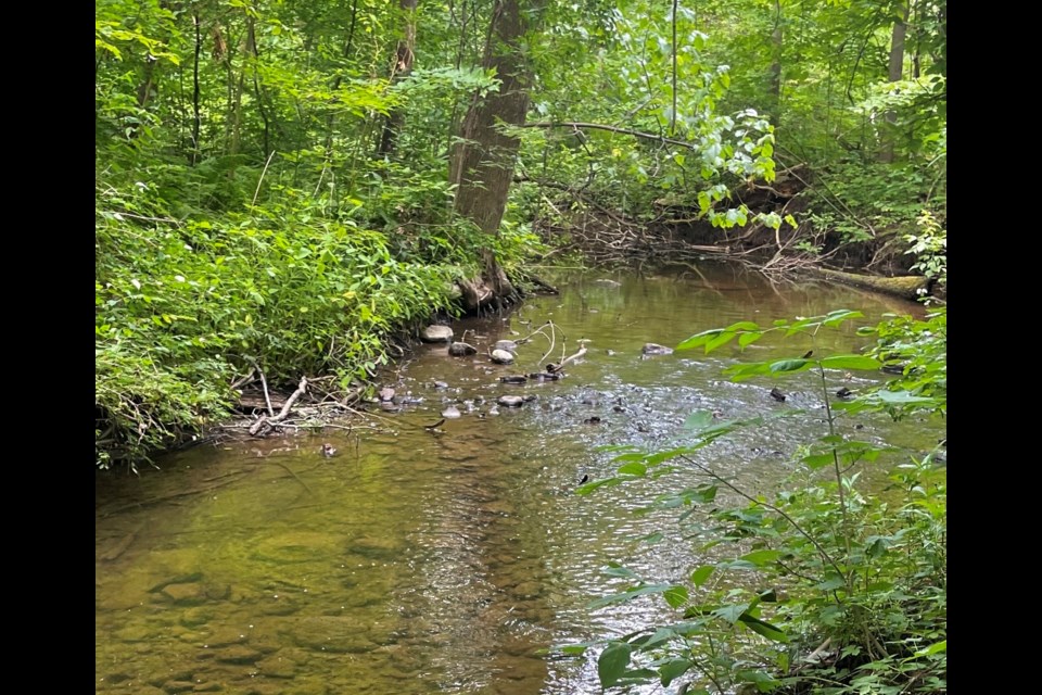  This is one of the few remaining greenspaces within our town's small boundaries, says letter writer of the area west of Leslie, north of Mulock and over to the south border of Gorham in some areas.