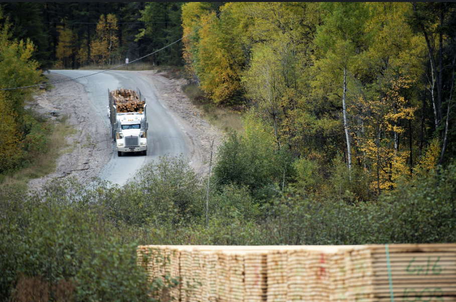 ontario-forest-industries-association-linkedin-photo-4