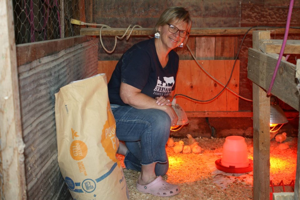 Farm owner Nancy Frey shows off newly hatched chicks to "A Day in Farm Country" tour participants at Breault Family Farm. 