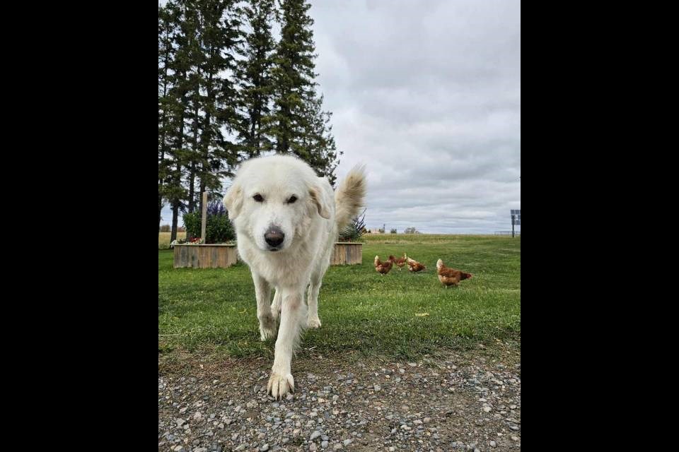 2024-10-29-breault-family-farm4-supplied