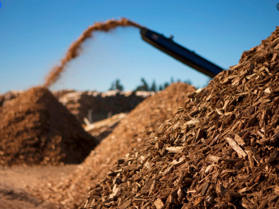wood-chips-ont-forest-industries-association-photo