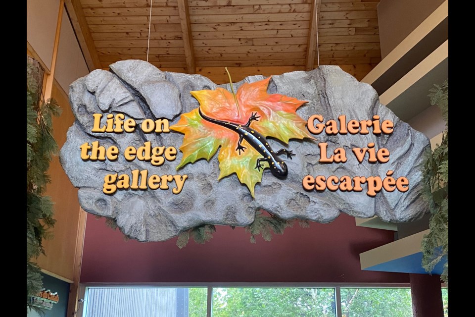 Entrance to the gallery at the Visitor's Centre. 