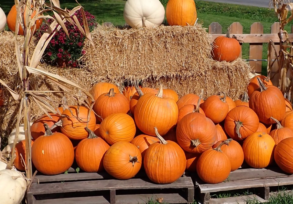 fall-harvest