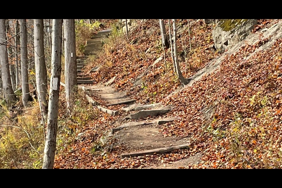 the Bruce Trail, which meets the Beamer Memorial Conservation Area, is proposed to be part of the geopark.