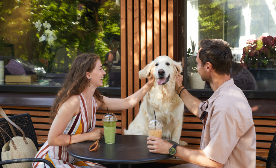 Five NOTL restaurants make nation-wide dog-friendly restaurant patios ...