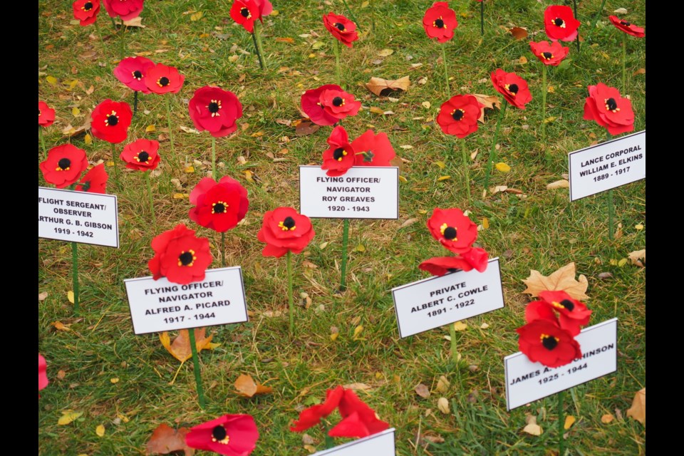 The poppies are attached to cards showing the name, rank and dates of birth and death of local soldiers who did not return home. (David Gilchrist)