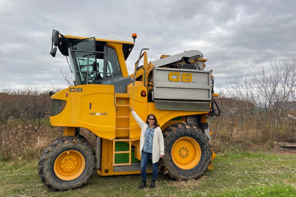 joy-6-beside-a-grape-harvester