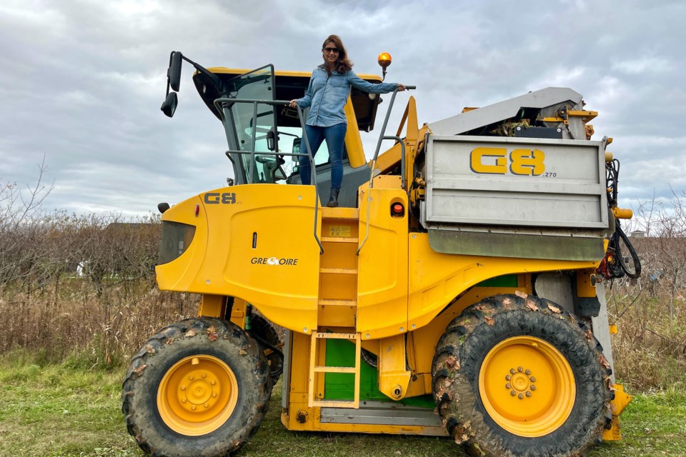 Joy Sanguedolche on a 14-foot grape harvester.