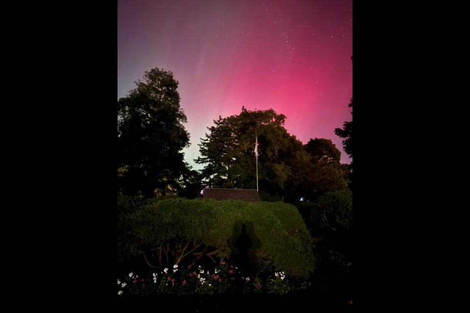 The northern lights as seen from the Ridesic's Prideaux Street backyard.