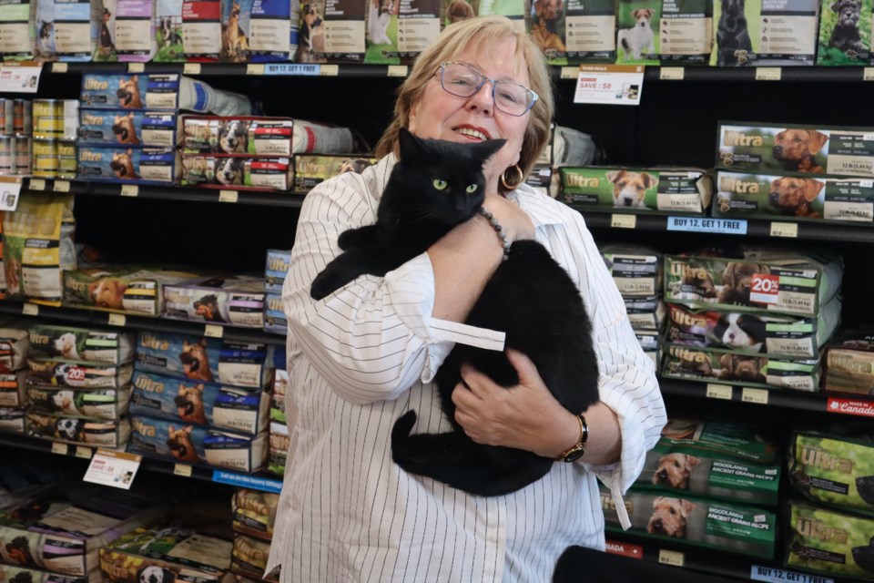 Elbie snuggles up with volunteer Carol Sheremetta at Pet Valu in Virgil. 