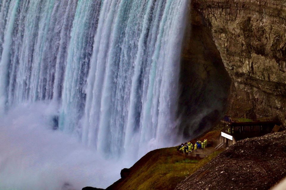 Millions of people gaze at the falls every year but never likely give a thought to the animals who are carried over the rushing water, says Owen Bjorgan