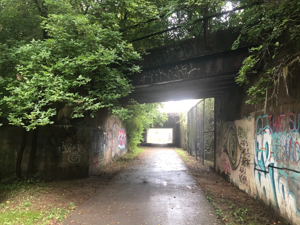 owen-sept-7-a-niagara-falls-underpass-on-a-bike-path-with-good-examples-of-woodsy-areas-along-it-despite-being-surrounded-by-suburbs-and-industrial-lands