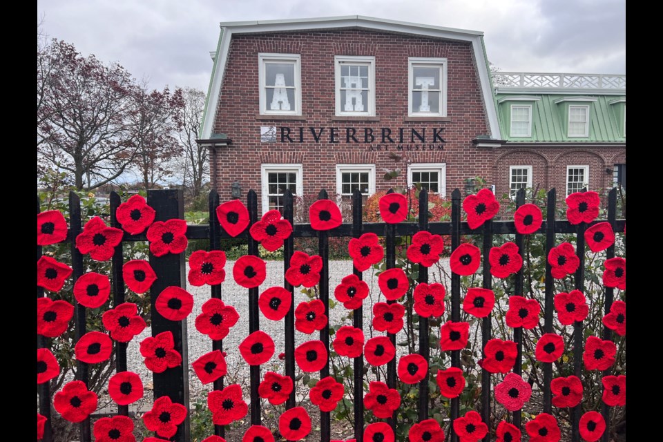 Crocheted and knitted poppies pop up at RiverBrink Art Museum thanks to NOTL Museum's poppy brigade.