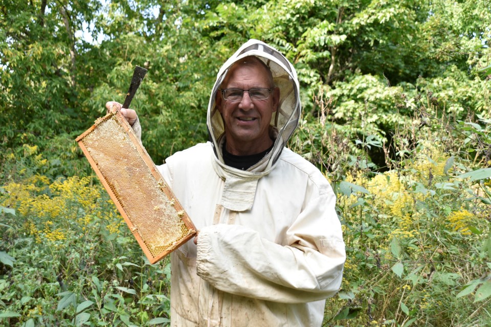 George Scott of Niagara Beeway is pleased with the bees and bee hives at Red Roof Retreat.