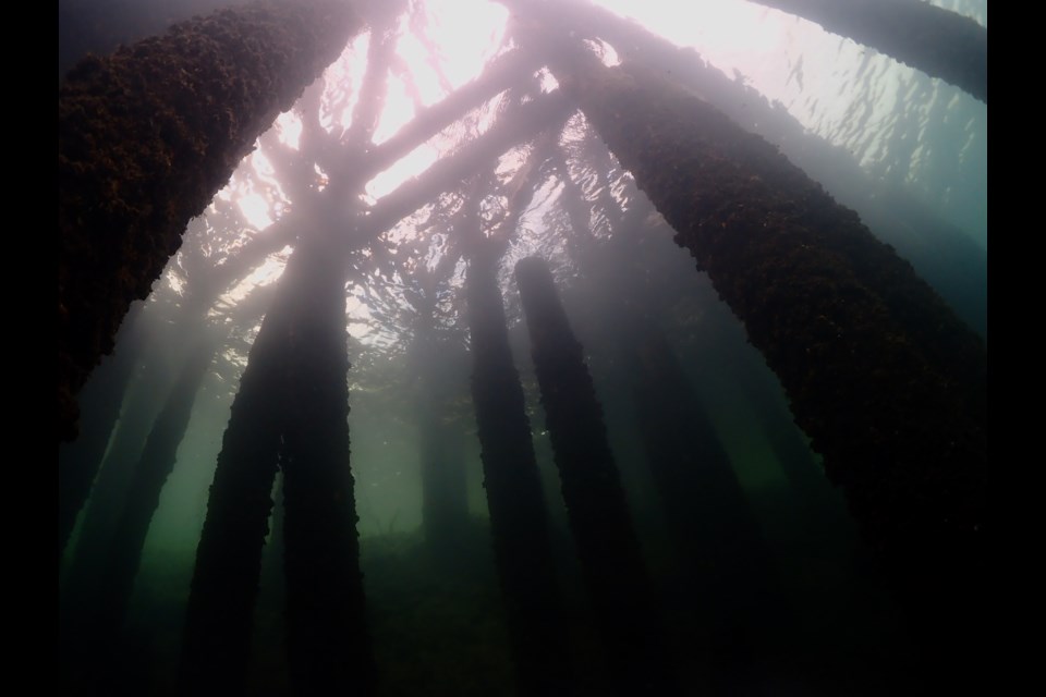 The swing bridge makes for an interesting dive at the Welland Scuba Park.  