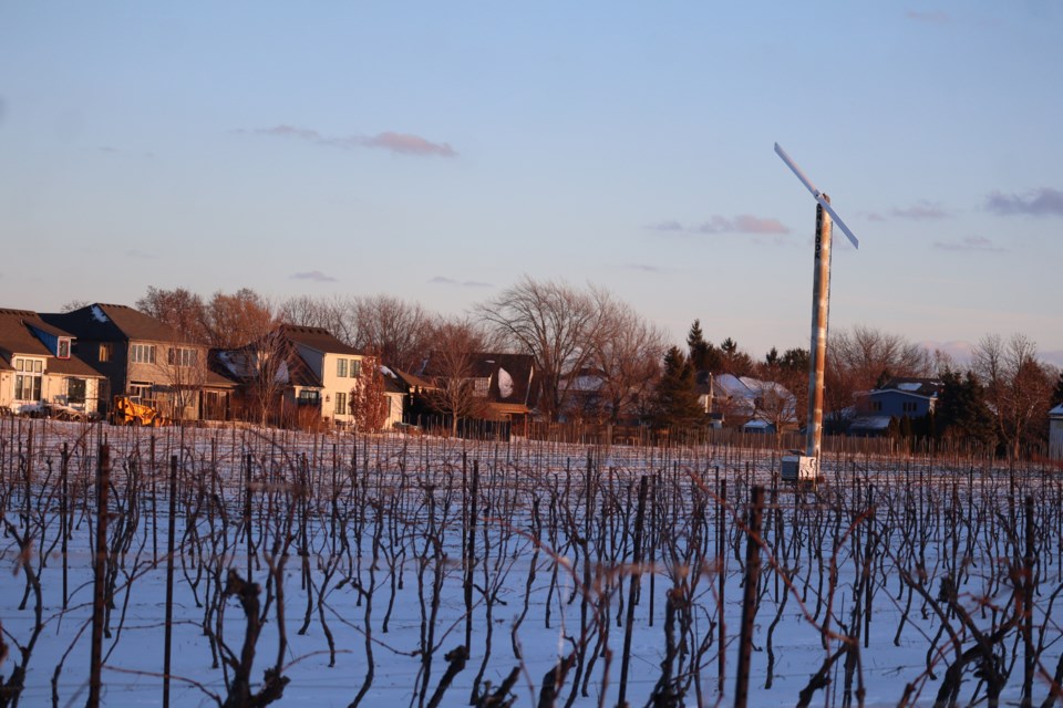 Education about the importance of wind machines to grape growers is important for residents living in close proximity to them. 