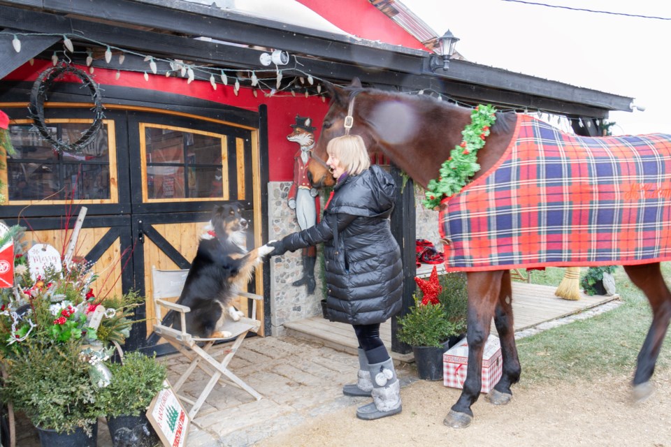 Liz Sauter has always loved and cared for animals, including horses.