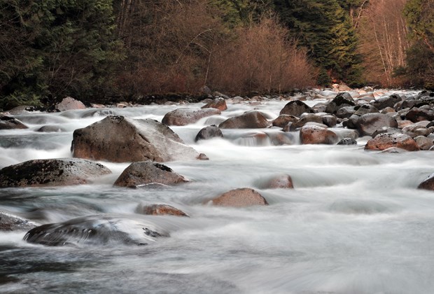 Lynn river