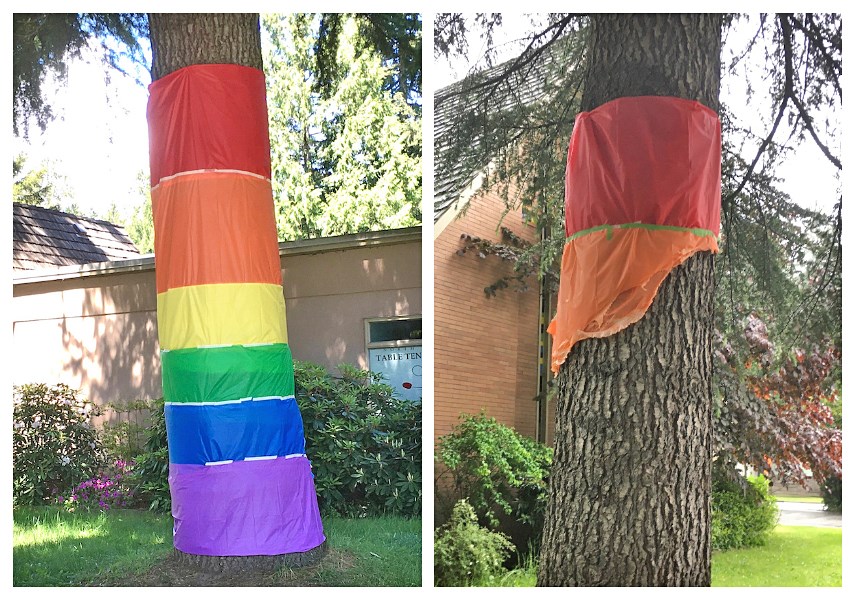 Vandalized rainbow tree