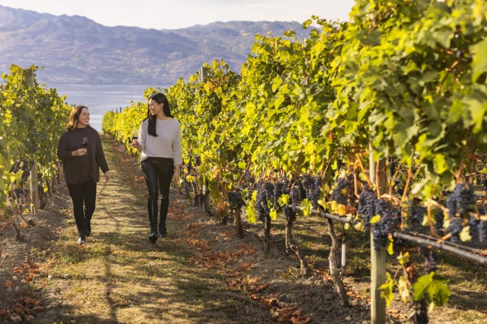 tourism-kelowna-nsn-quails-gate-winery-vineyard-4