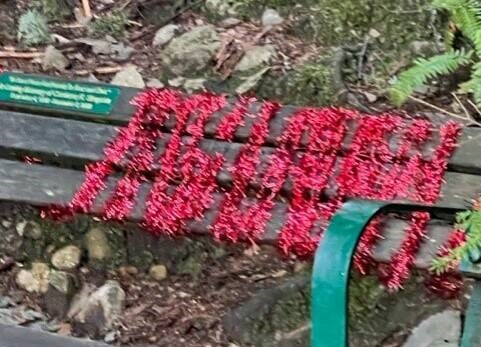 Abandoned, plastic Christmas waste has been left on a mountain biking trail on Mount Fromme. | James Dolan