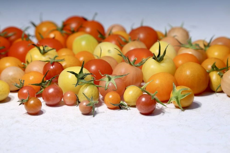 Garden to table Tiny tomatoes update a classic summer combo