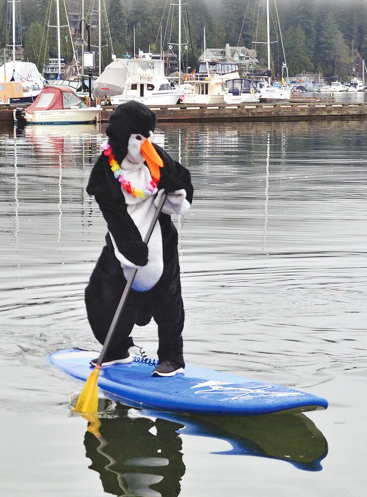 北岸企鹅跳水活动迎来第42个年头