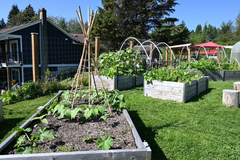 The Tsleil-Waututh Nation garden is brimming with vibrant fruits and vegetables. | Mina Kerr-Lazenby 