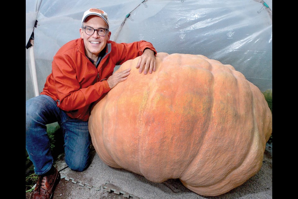 Giant veggie gardener Jeff Pelletier spends some quality time with his biggest pumpkin of the season, a competition-bound gourd that will likley weigh in at more than 450 kilograms (1,000 pounds). | Paul McGrath / North Shore News 