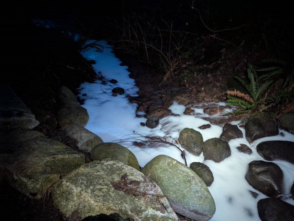 web1_nsn-20250107-hastings-creek-spill-north-vancouver