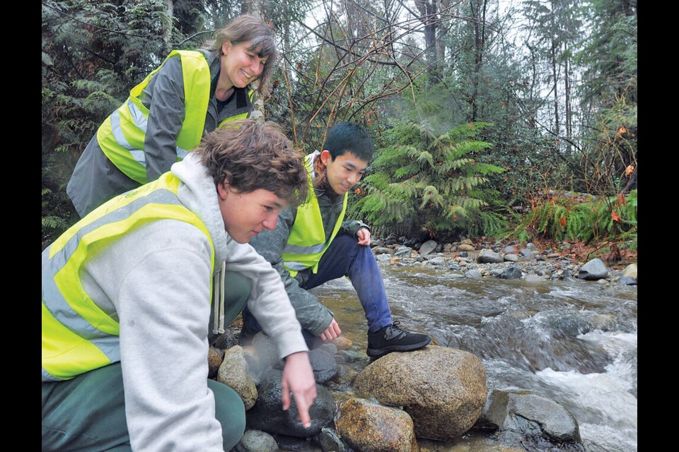 West Vancouver Streamkeeper Leslie Pomeroy and West Vancouver Secondary students Ben Brosnan and Oliver Huang look for life at McDonald Creek. | Paul McGrath / North SHore News 