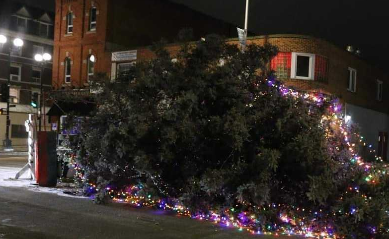 kenora-christmas-tree