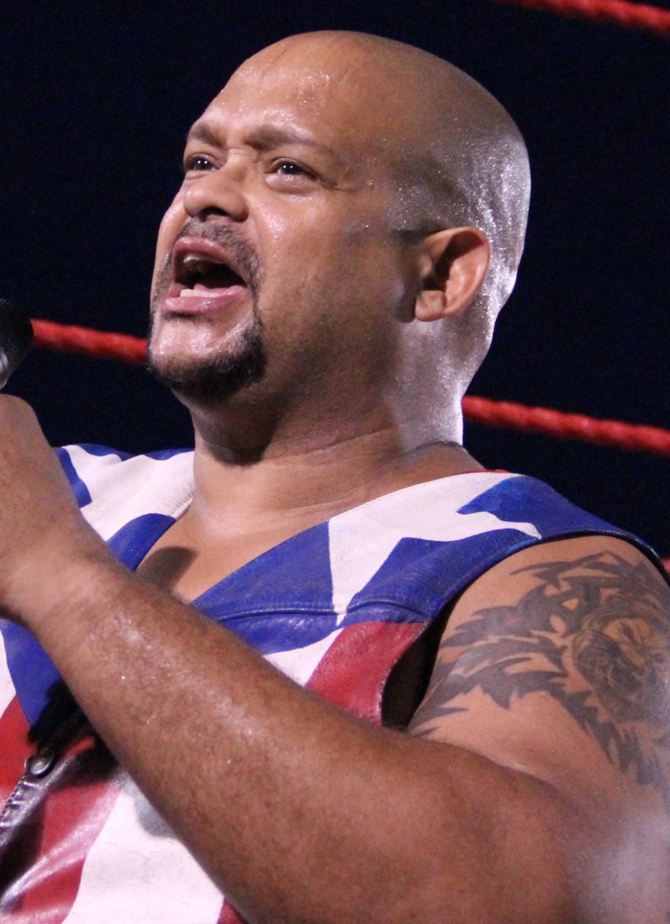 savio_vega_2013_cropped