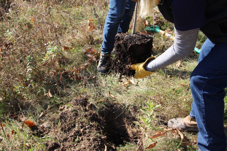 Girl Guide's help plant trees with Oakvillegreen