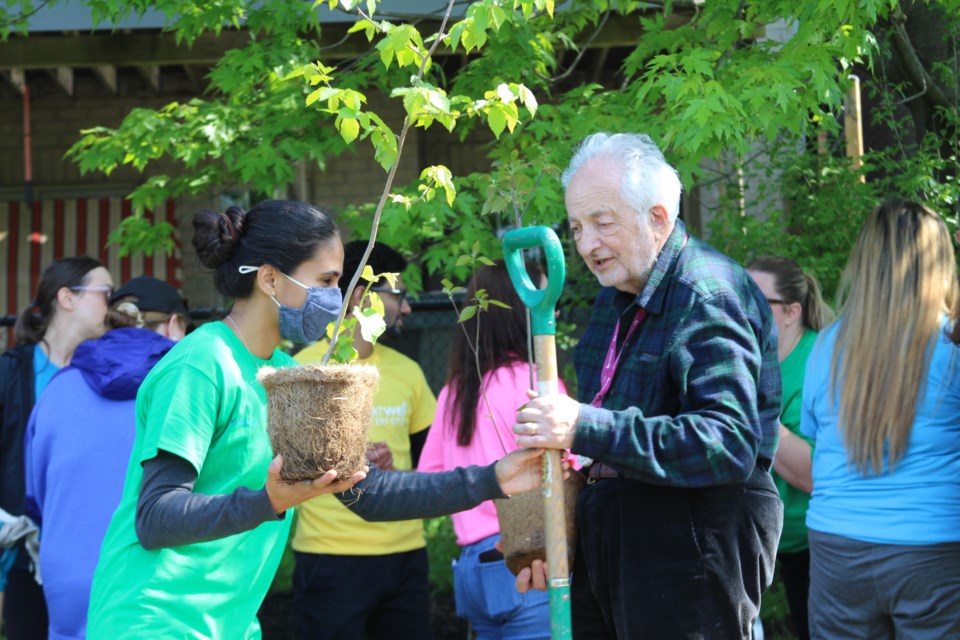 Valleyridge Park tree planting with Oakvillegreen