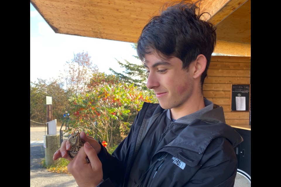 Sam Lewis holding a thrush