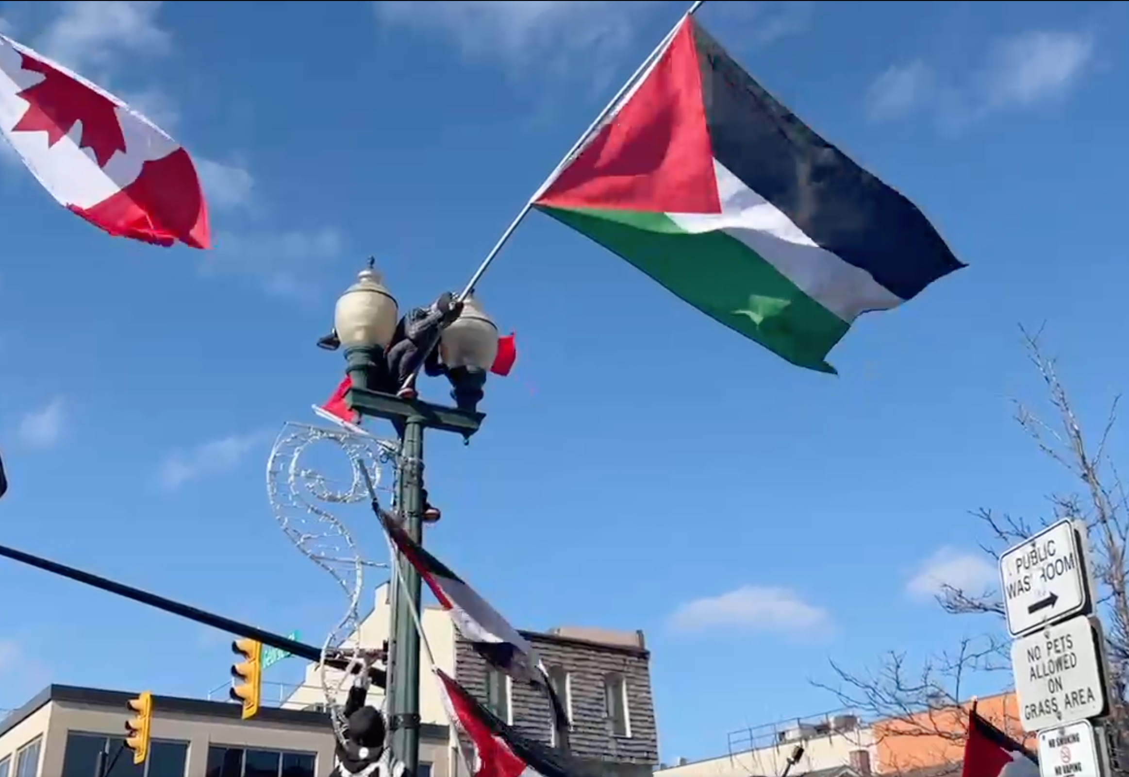 A protestor on top of a lamppost in downtown Oakville, waving a Palestinian flag | Photo: Caryma Sa