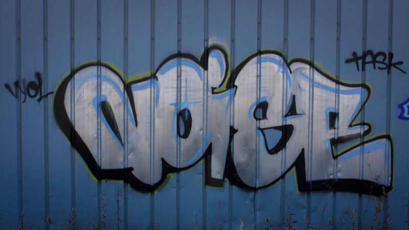graffiti word "noise"