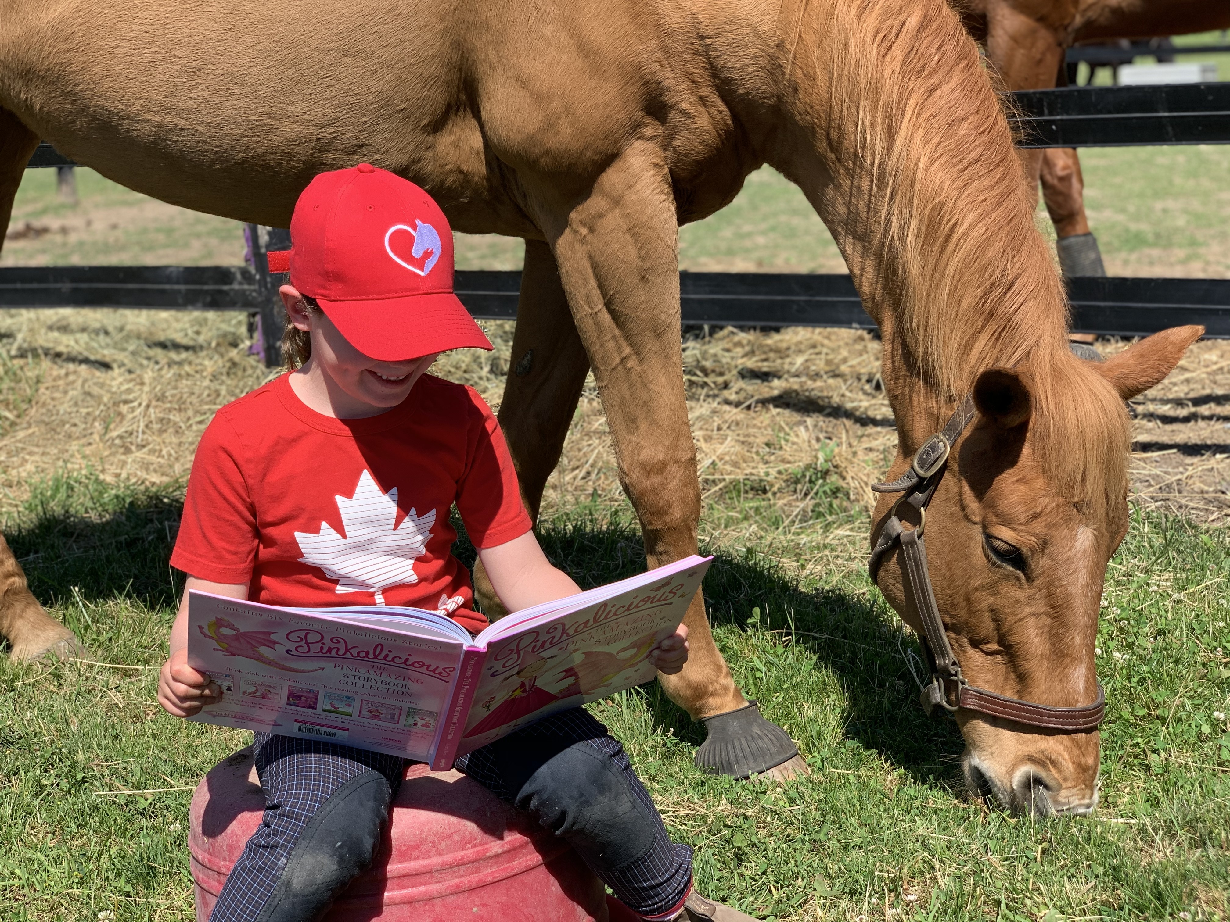 Rachael McMillan reading about horses | Suzanne McMillan