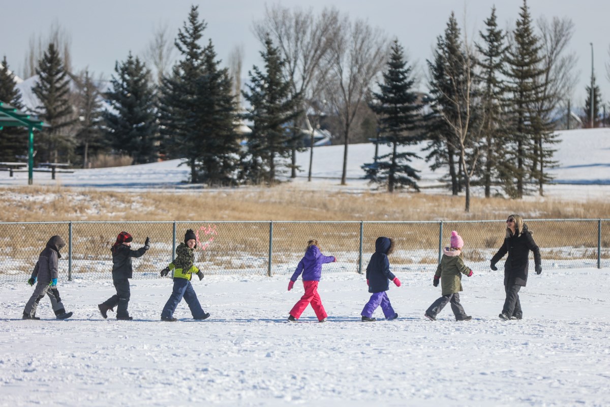 Get out and enjoy the outdoors on Winter Walk Day - Okotoks & Foothills ...