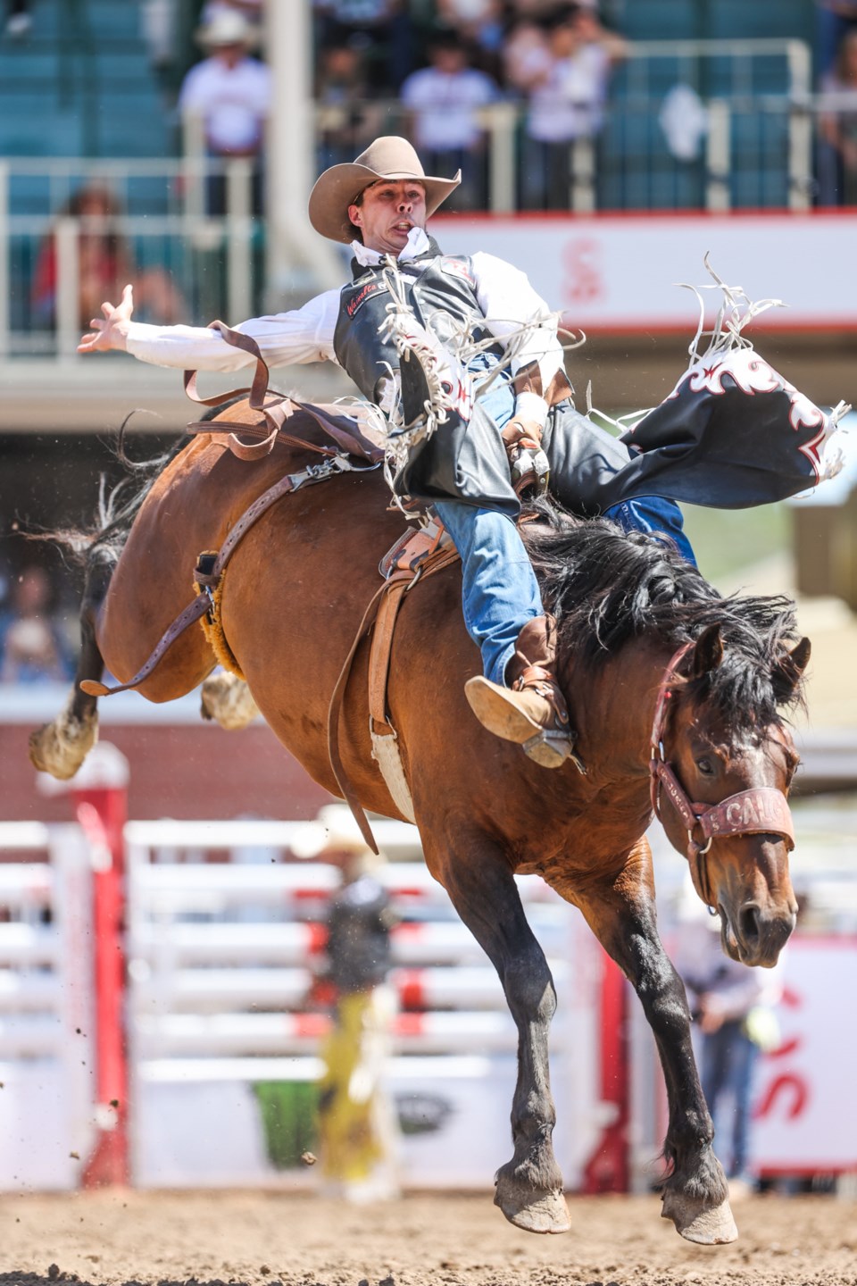 SPORTS-Stampede 2022 Rodeo BWC 3860 web