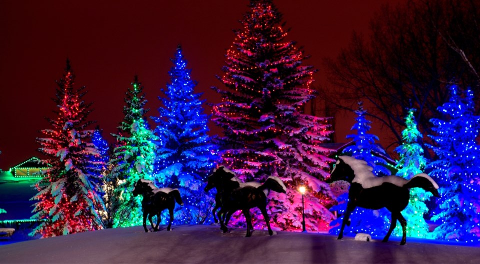 Spruce Meadows is illuminated for the holidays Okotoks & Foothills News