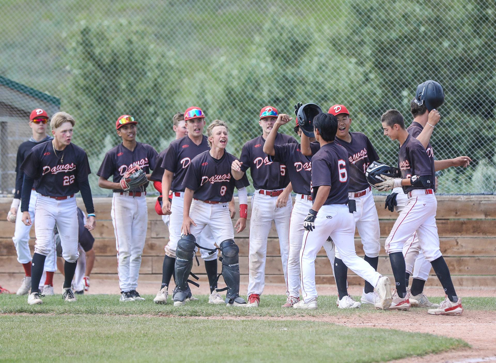 Home  Okotoks Dawgs Academy