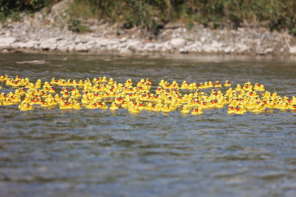 sa-rubber-duck-derby-bwc-120033a-web