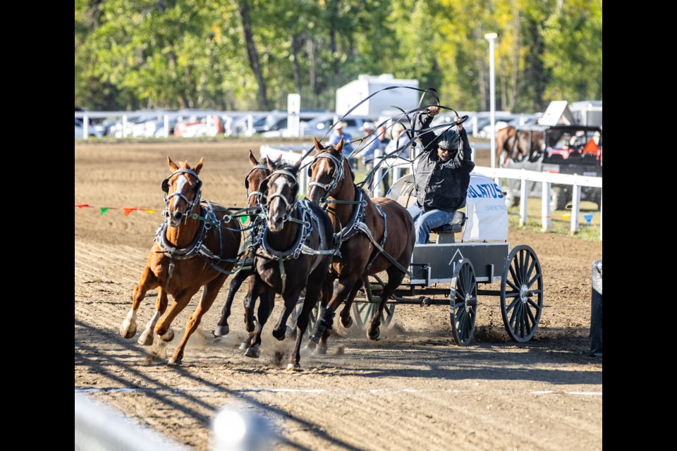 Chuckwagons race during the Millarville Chucks, Chariots, and Bulls at the Millarville Racetrack on Sept. 9.