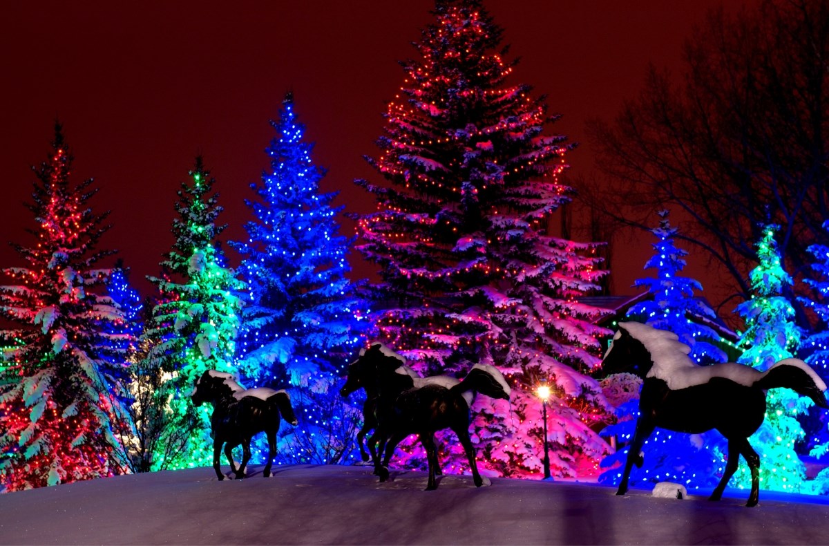 View Christmas lights from your car at Spruce Meadows Okotoks